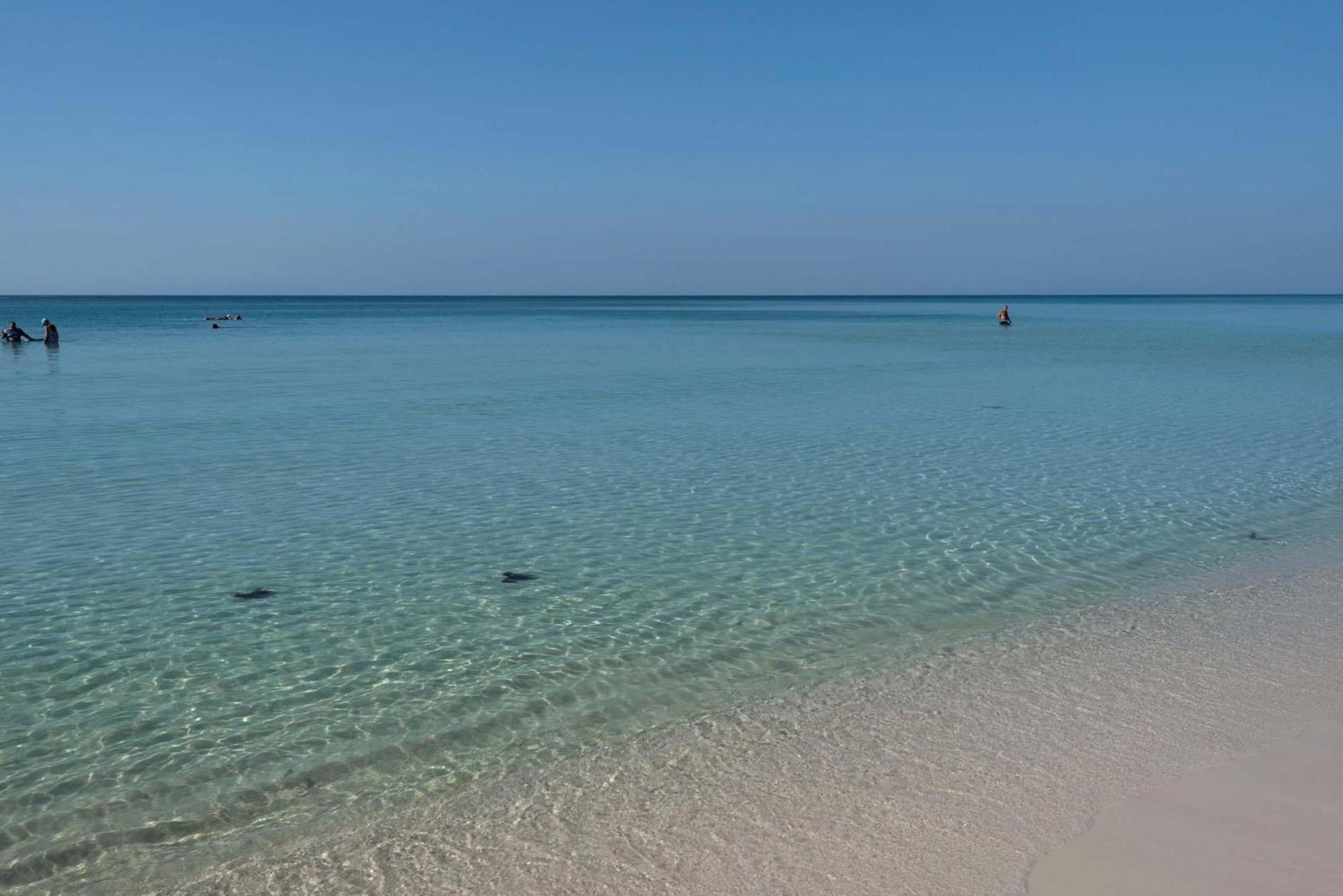 Apartamento Majestic Sun 605B Destin Exterior foto